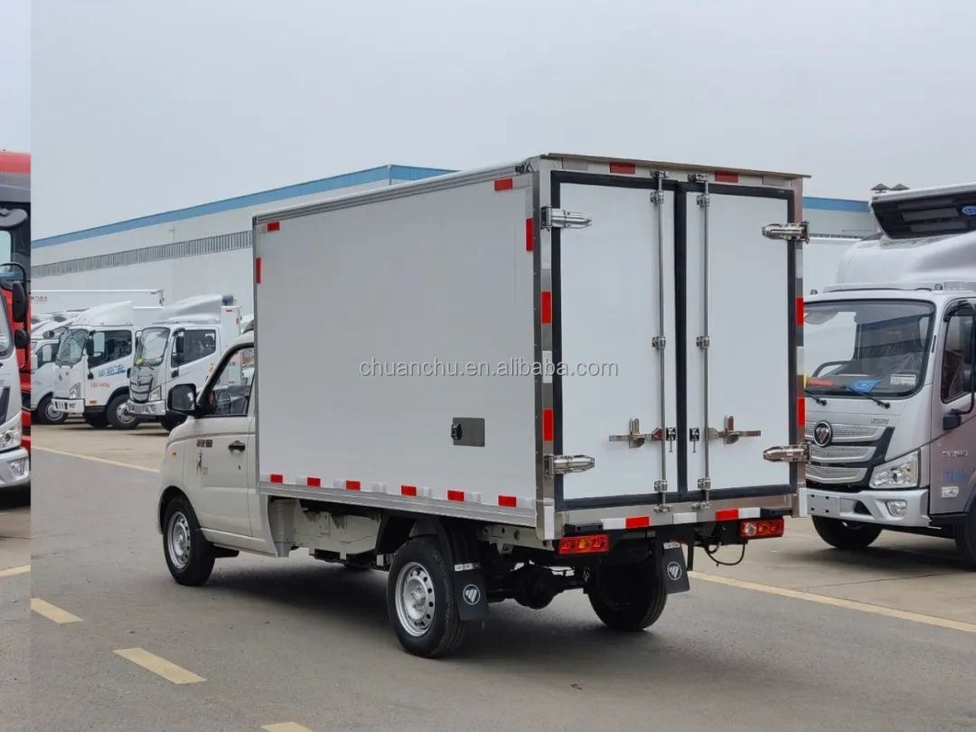Customized Frozen Meat Delivery Trucks 4.2m Pure Electric Refrigerated Truck