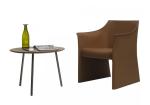 Office O CAP Fiberglass Arm Chair With Pigmented Leather Body