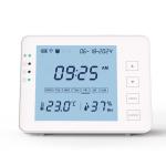 OEM Mini WiFi Outdoor Thermometer Hygrometer For School Gym