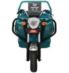 Elder Pedal Assisted 3.1m*1m Electric Cargo Tricycle