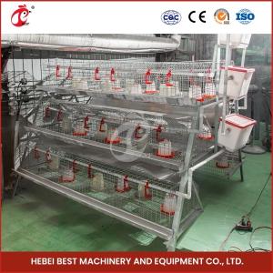 China 2 Doors Durable Chick Brooder Cage Automatic Feeding System Emily factory