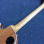 New style LP Electric guitar,Rosewood Fingerboard,High quality electric guitar
