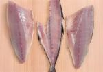380V 50Hz Fish Deboning Machine , Practical Fish Meat Bone Separator