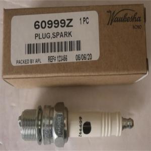 China Waukesha Sparking Plug 60999Z factory
