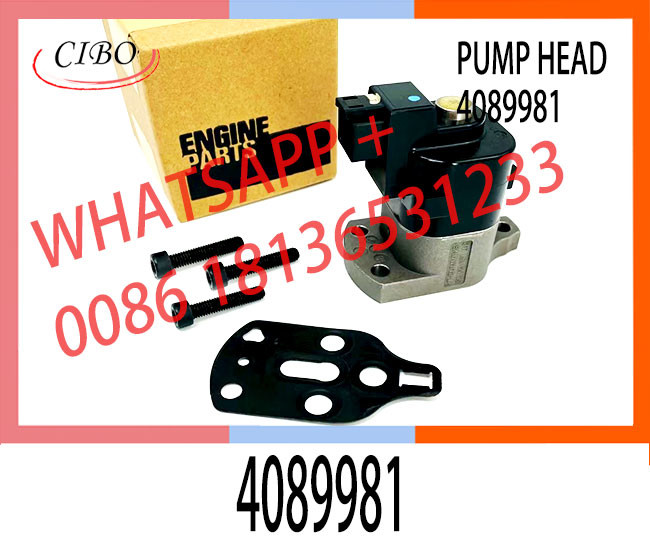 High Quality Diesel Fuel Injection Pump DPA Head Rotor For 4089981