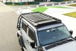 Powder Coating Car Side Ladder for 2013-2017 Tank 300 Aluminum Roof Top Tent