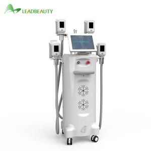 China Factory price 4 handles Cryolipolysis Fat Freeze Slimming Machine With 1600W Output Power factory