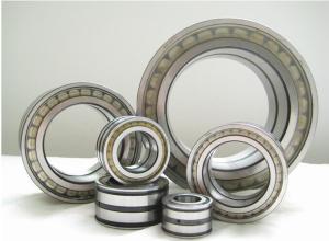 China Cylindrical high speed roller bearings SL04 5010 PP for mining area factory