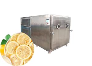 China Dried Fruit Industrial Freeze Dryer Machine 200kg/batch factory