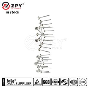 ZPY Intake Exhaust Valve Kit for VW Audi Passat Jetta A4 A6