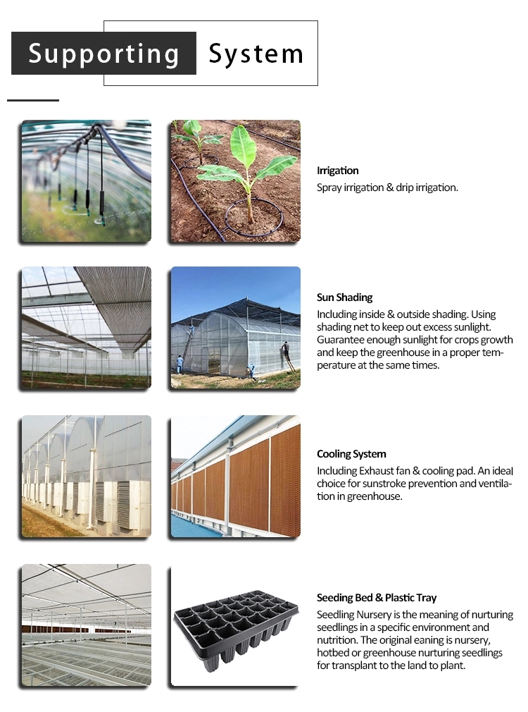 Middle Size Greenhouse Heating Systems Electric Heaters Suitable For Farms