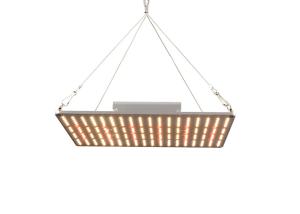 China LM281B Quantum Board Led Grow Lights factory