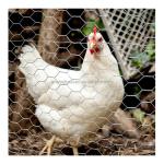 Rodent Proof 5 ft High Tensile Fixed Knot Galvanized Field Fence with Long Life