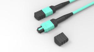 China OM4 LSZH Fiber Optic Patch Cable 12 Fibers MPO MTP Trunk Cable factory