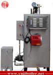 Custom Thermal Oil Steam Generator , Portable Industrial Steam Generator