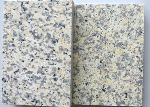 China Wall Decoration Granite Stone Paint , Nature Sand Marble Look Paint factory