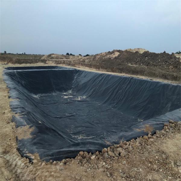 Fish Farming HDPE Geomembrane Liner 1mm 0.5mm 1.5mm Black White Blue Green Customized