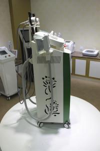 China 5 handles multifunctional Cryolipolysis Slimming Machine hot sale in Market factory