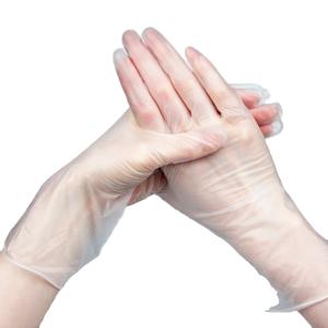 China 9 Inch Powder Free Disposable Vinyl Gloves For Foodservice factory