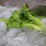 Canteens Turbidity Reduce Fruit And Vegetable Washing Machine Sediment Discharge