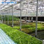 Commercial Greenhouse Rolling Benches Transportable Breeding Nursery Seedling