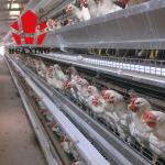 Cage Manufacturer 90 - 160 Birds Hot Galvanized Laying Hen Farming Equipments
