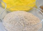 Hemicellulase Paper Enzymes Industrial Enzymes Used In Pulp And Paper Industry