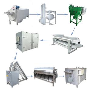 China Roasting Dryer Nuts Processing Machine Peeling Cashew Grading Machine factory