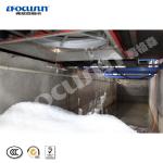 Germany Bitzer Compressor Type Flake Ice Maker for Fishing Vessels 10ton/day