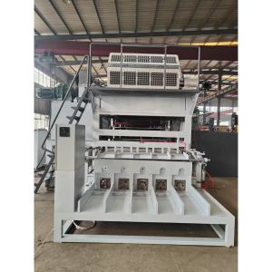 Fully Automatic 5x8 Molds Paper Egg Tray Machine 5000pcs/h