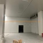 Nature Production -10-0C Mini Solar Cold Room 20cbm for Meat