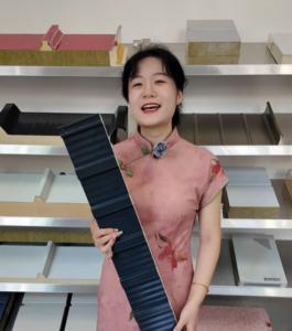 China Customizable Waterproof Sandwich Roof Panel With Sound Insulation Great Wall Panels factory