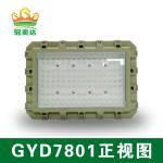 Explosion Proof LED Floodlight Aluminum Alloy IP66 WF2