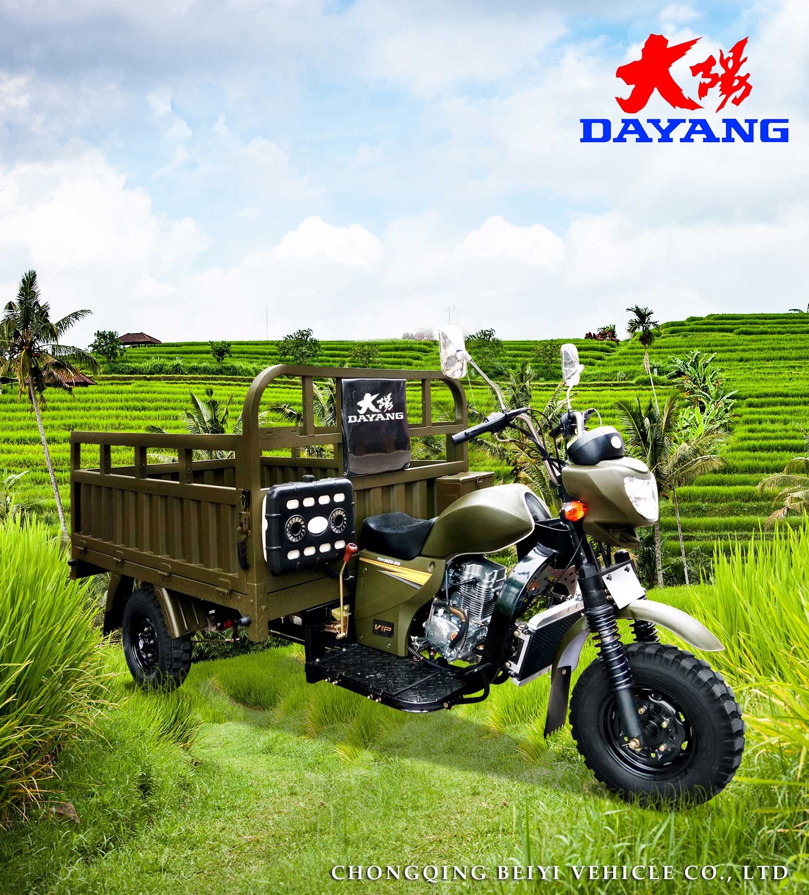 3 Wheel 150cc Cargo Motorcycle with Heavy Loader and Tyre 5.0-12
