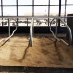 Stainless Steel Galvanized Pipe Free Stalls For Cows Single Row Style