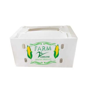 China Correx Vegetable Corrugated Boxes Agriculture Hollow Board Box factory
