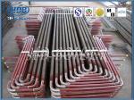 Heat Insulation Superheater and Reheater Coils Anti Corrosion ASME Standard