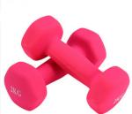 0.5kg 1kg 1.5kg 2kg 2.5kg 3kg 4kg 5kg 6kg 7kg 8kg 9kg 10kg women Vinyl Coated
