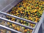 One Stop Service​ SUS304 Mango Jam Processing Line For Finished Product 10 -