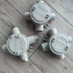 Explosion Proof Lighting Junction Box Flameproof IP66 Anti Corrosion For