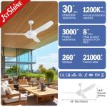 Modern Study Bldc Inverter Plastic Ceiling Fan Three White Blade