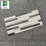 Exterior Glazed Ceramic Tiles 20 X 40 Black Mix White Color