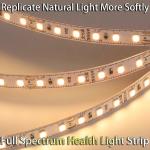 Flexible Light Strip 24V / 36V Outdoor Waterproof Decoration Atmosphere Bright