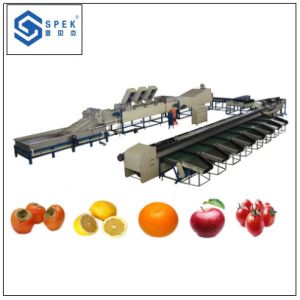 automatic fruit apple washing and waxing and sorting macine fruit sorting