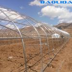 48mm Arch Pipe 150 Micron Agriculture Plastic Film Covered Single Tunnel