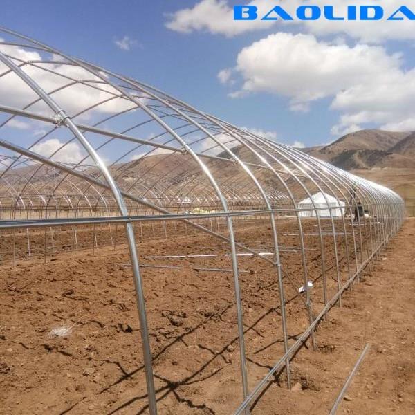 48mm Arch Pipe 150 Micron Agriculture Plastic Film Covered Single Tunnel