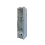 105L Low price supermarket vertical cooler display cabinet showcase beer freezer