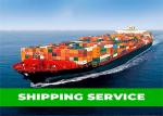 China To India LCL Ocean Shipping
