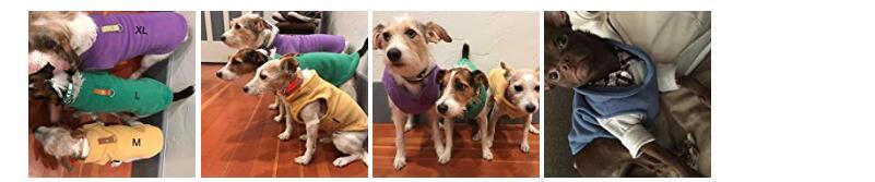Waterproof Dog Jacket with Leash Ring
