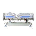 Paralyzed Patient Elderly Electric Hospital Home Nursing Medical Bed With